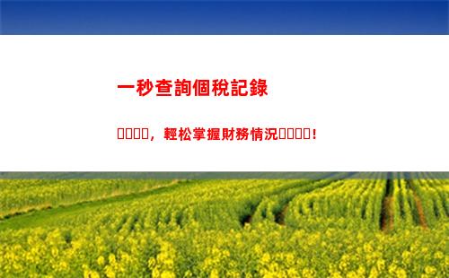 一鍵查詢個稅記錄，輕松了解稅負情況！